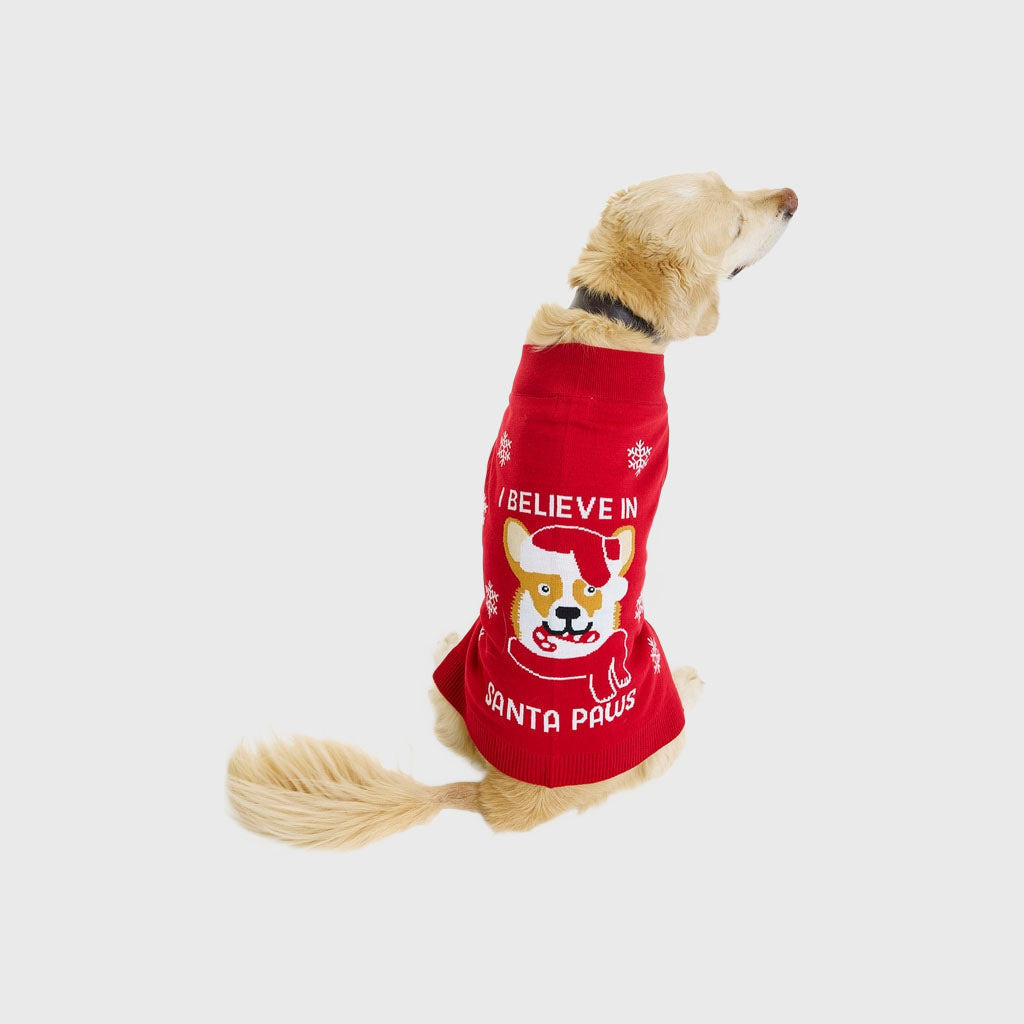 Santa paws Hunde-Weihnachtspullover